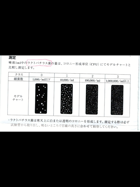 中原区の夜間診療できる歯医者・歯科医院｜ワコ歯科・矯正歯科クリニック