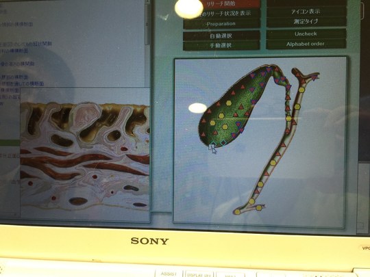 中原区の夜間診療できる歯医者・歯科医院｜ワコ歯科・矯正歯科クリニック