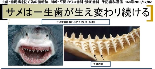 中原区の夜間診療できる歯医者・歯科医院｜ワコ歯科・矯正歯科クリニック